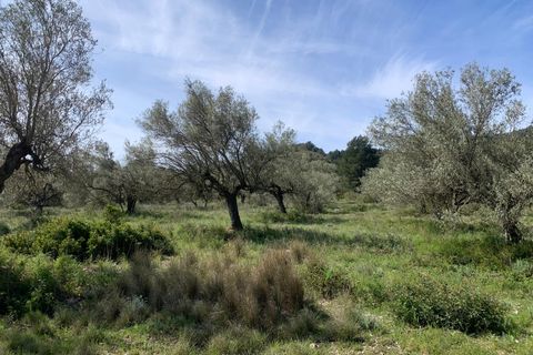 Landejendom i Tortosa, Tarragona, Tortosa - € 139.000 | Ref: Tor9079fra - foto 24